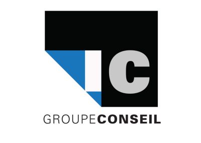 IC GROUPE CONSEIL 2010